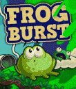 game pic for Frog Burst